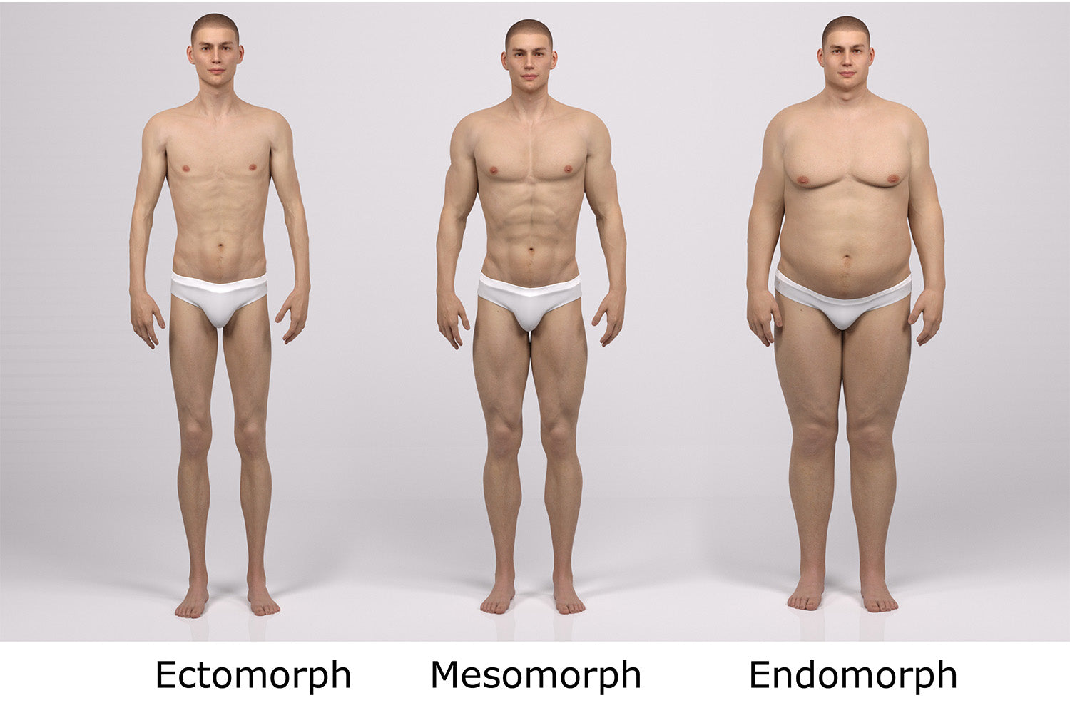 Which somatotype is characterised by broad shoulders, narrow waist