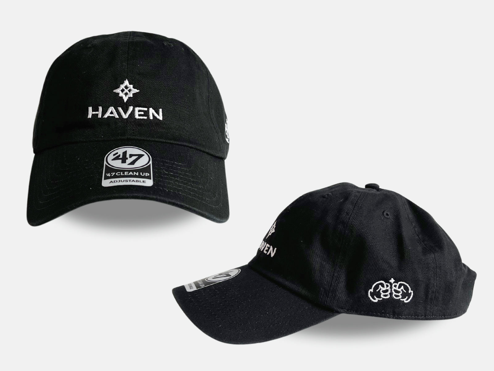 Haven Dad Hat [Special Edition]